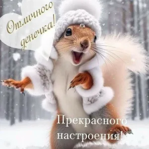 МБДОУ N17 «Белочка», г. Сургут, ХМАО-Югра