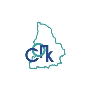 Свердловский областной педагогический колледж