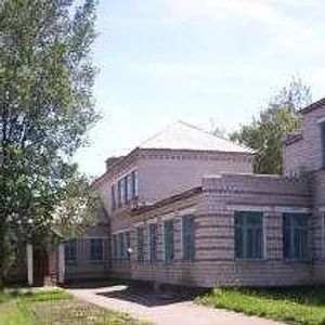 МБОУ "Мирненская СОШ", Родинский район