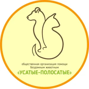 "УСАТЫЕ-ПОЛОСАТЫЕ" - помощь БЕЗДОМНЫМ животным