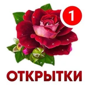 Открытки и поздравления