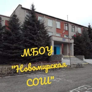МБОУ "Новомирская СОШ"