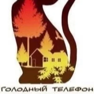 КОШКИН ДОМ - помощь бездомным кошкам Ульяновска