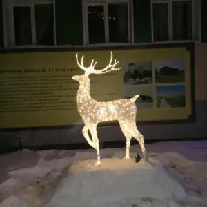 МБОУ "Тулунинская СОШ им. П.В. Аммосова" Усть-Алданский улус РС(Я)
