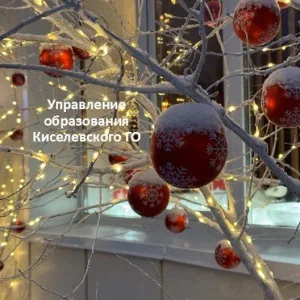 Управление образования Киселевского ГО