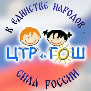 МБУ ДО «ЦТРиГОШ»