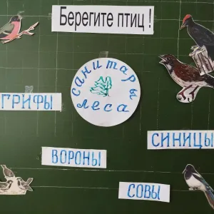 Канал МОБУ СОШ с. Зильдярово