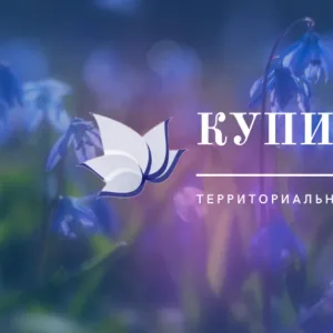 Купинская территориальная администрация