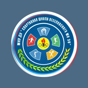 Спортивная школа Веселовского муниципального округа