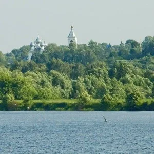 МКУ "ТУ Софьино-Чулково"
