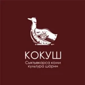 Центр коми культуры города Сыктывкар