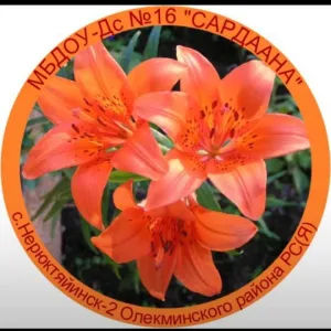 МБДОУ-Детский сад №16"Сардаана" с.Нерюктяйинск-2