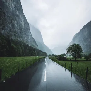 Природа мира
