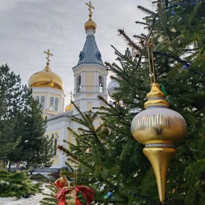 Администрация Петровского сельского поселения