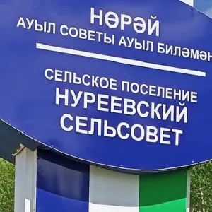 Совет сельского поселения Нуреевский сельсовет муниципального района Шаранский район Республики Башкортостан