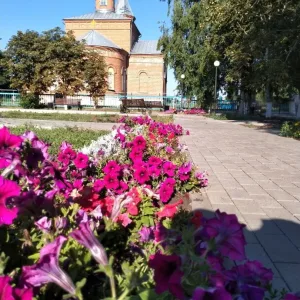 Администрация Платавского сельского поселения