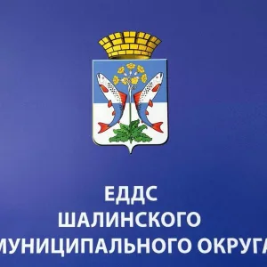 МКУ "ЕДДС Шалинского МО"