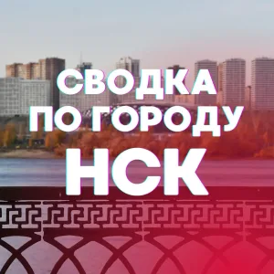 Новосибирск. Сводка по городу