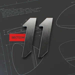 SECTION 11
