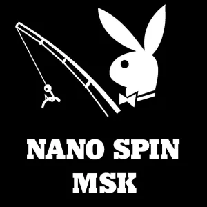 NanoSpinMsk