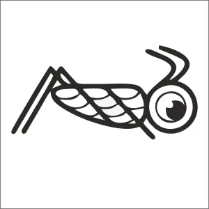 Cricket club/ Сверчки СПб
