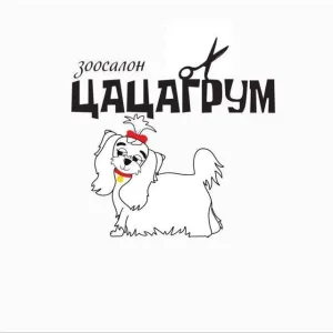 ЦАЦАГРУМ СОЧИ стрижка кошек и собак