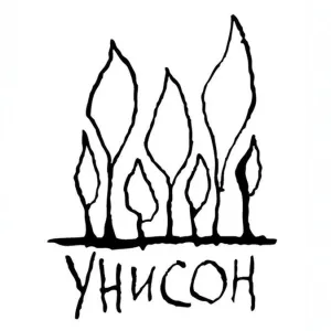 Частная школа «Унисон»