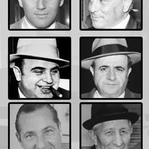 The Mafia book