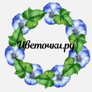 Цветочки.ру