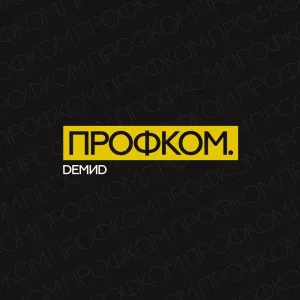 Профсоюзная организация обучающихся ЯрГУ