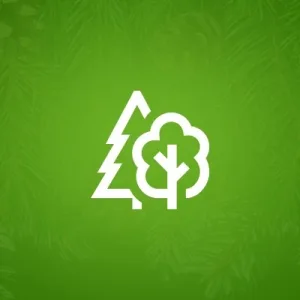 Министерство лесного комплекса ВО