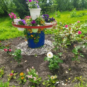 Канал МКОУ КРОТОВСКАЯ ООШ🤗