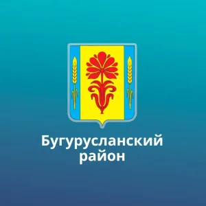 МО Дмитриевский сельсовет