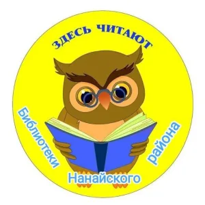 Библиотеки Нанайского района