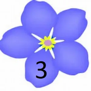 МДОУ дс12 "Незабудка"