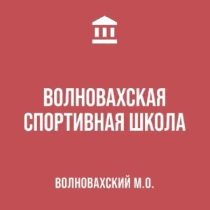Волновахская спортивная школа