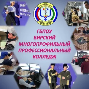 Бирский многопрофильный профессиональный колледж