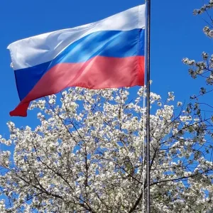 МКОУ Козловская СОШ