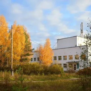МБУК СКЦ"МИР" п.Савинский