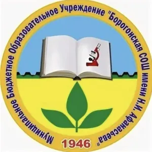Борогонская СОШ им. Н.И. Афанасьева