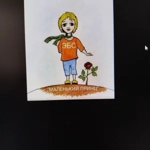 МБУ ДО ЭБС "Маленький принц"