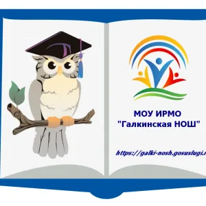 КАНАЛ МКОУ «Галкинская школа"