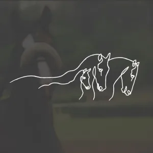 БУ УР «ГЗК "Удмуртская" с ипподромом»
