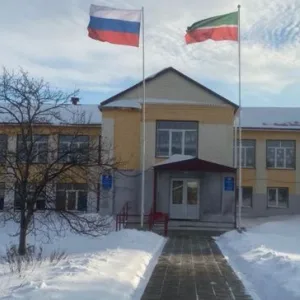 МБОУ "Старо-Салманская ООШ" АМР РТ