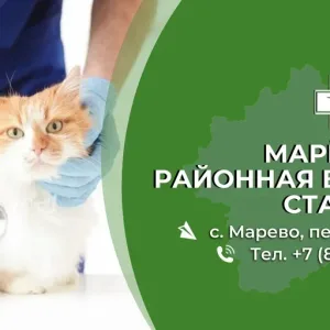 Марёвская районная ветеринарная станция