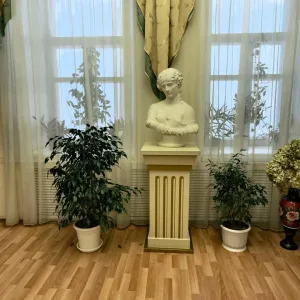 Муниципальное бюджетное учреждение дополнительного образования г.Коврова "Детская художественная школа"