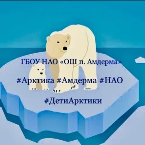 ГБОУ НАО "ОШ п. Амдерма"