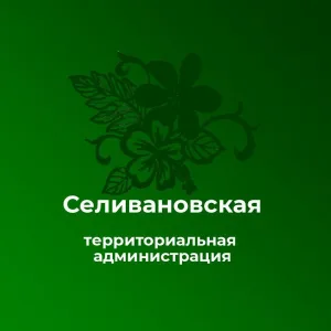 Селивановская территориальная администрация