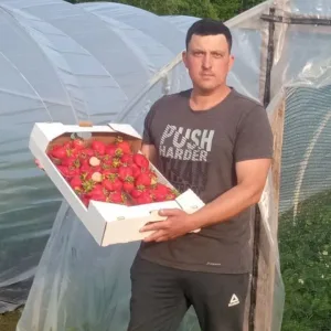 Клубника🍓 ТуТ Смоленск