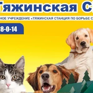 ГБУ Тяжинская СББЖ